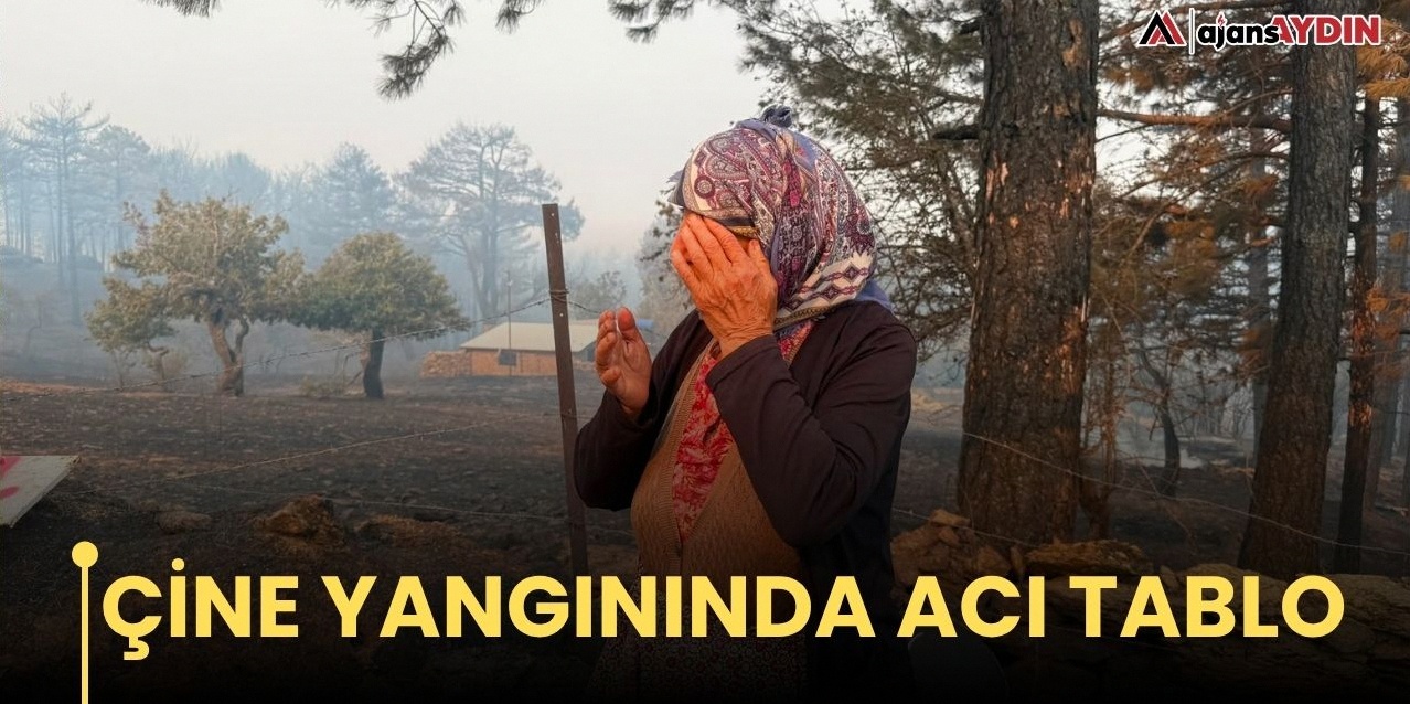 Çine yangınında acı tablo