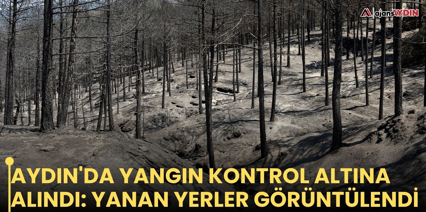 Aydın'daki yangın kontrol edildi: Hasar gören alanlar görüntülendi